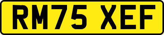 RM75XEF