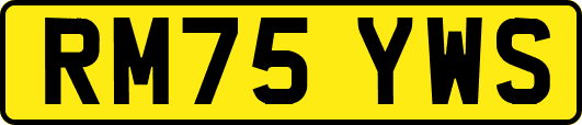 RM75YWS