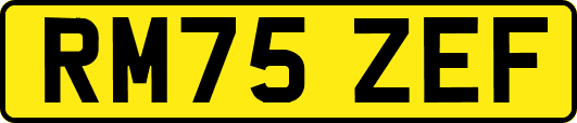 RM75ZEF