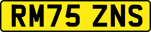 RM75ZNS