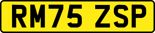 RM75ZSP