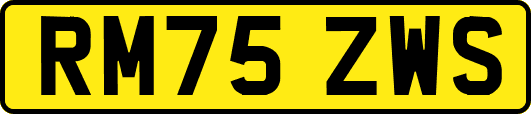 RM75ZWS