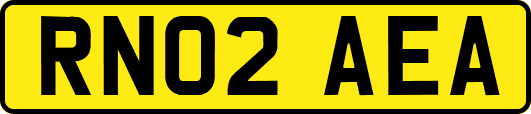 RN02AEA