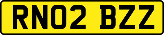 RN02BZZ