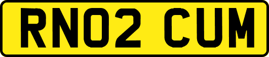 RN02CUM