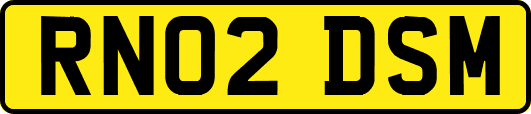 RN02DSM