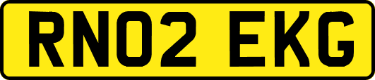 RN02EKG