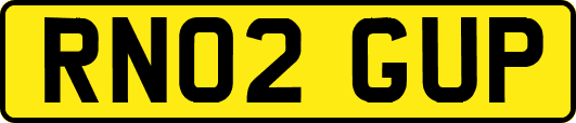 RN02GUP