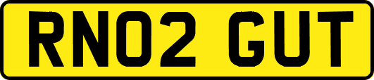 RN02GUT