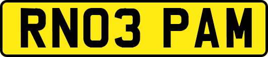RN03PAM
