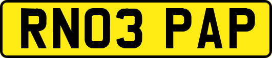 RN03PAP