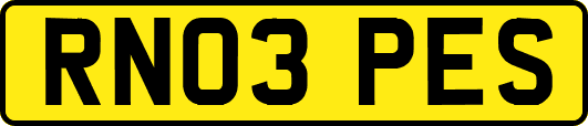 RN03PES