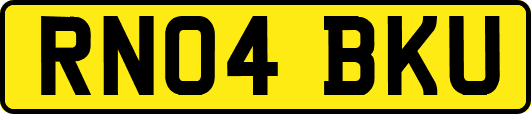 RN04BKU