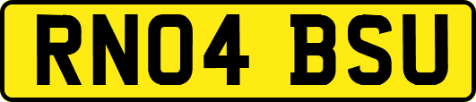 RN04BSU