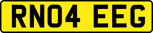 RN04EEG