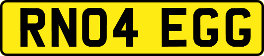 RN04EGG