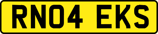 RN04EKS