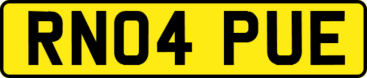 RN04PUE