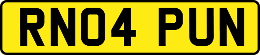 RN04PUN