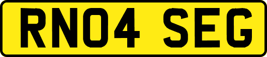 RN04SEG