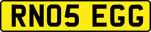 RN05EGG