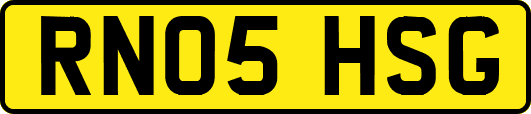 RN05HSG