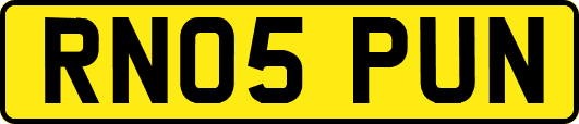 RN05PUN