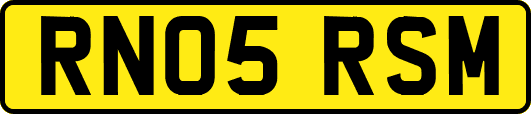 RN05RSM
