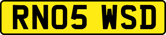 RN05WSD