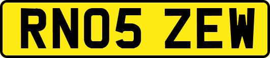 RN05ZEW