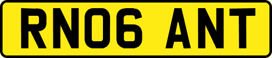 RN06ANT