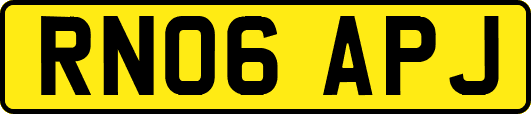 RN06APJ