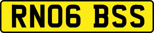 RN06BSS
