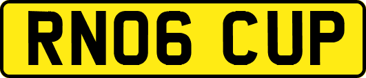 RN06CUP