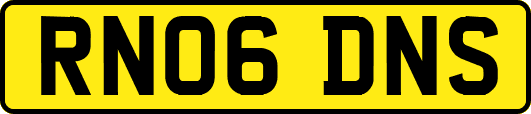 RN06DNS