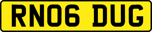 RN06DUG