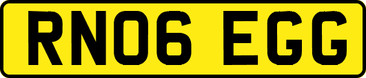 RN06EGG