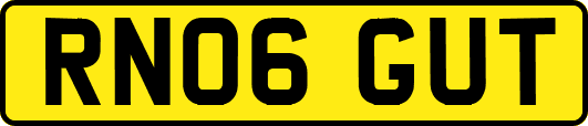 RN06GUT