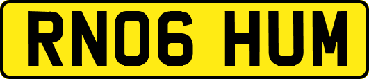 RN06HUM