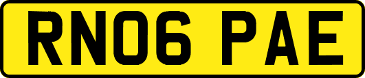 RN06PAE