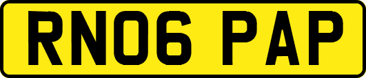 RN06PAP
