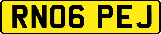 RN06PEJ