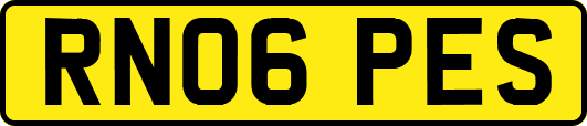 RN06PES