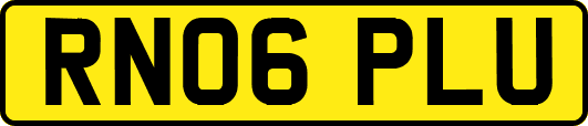 RN06PLU