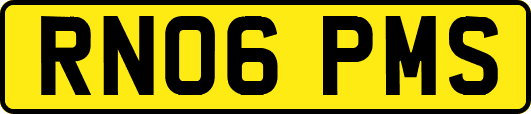 RN06PMS