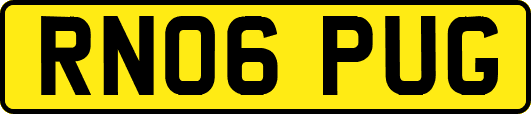 RN06PUG