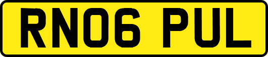 RN06PUL