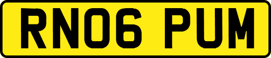 RN06PUM