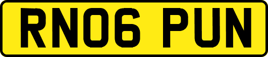 RN06PUN