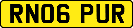 RN06PUR